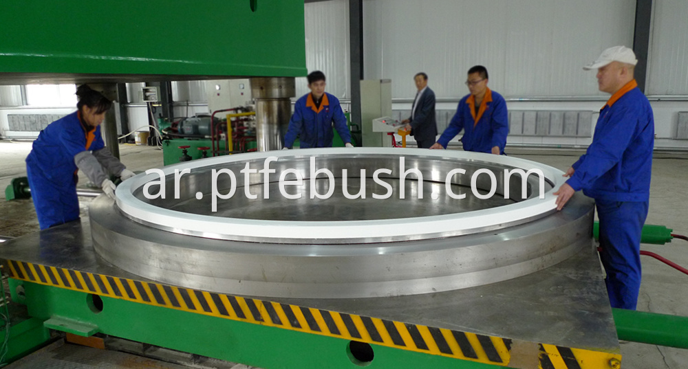 Large Ptfe Bush 1